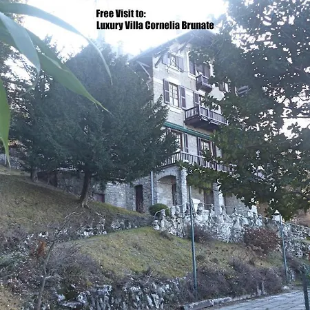 Luxury Villa Olmo Lejlighed *